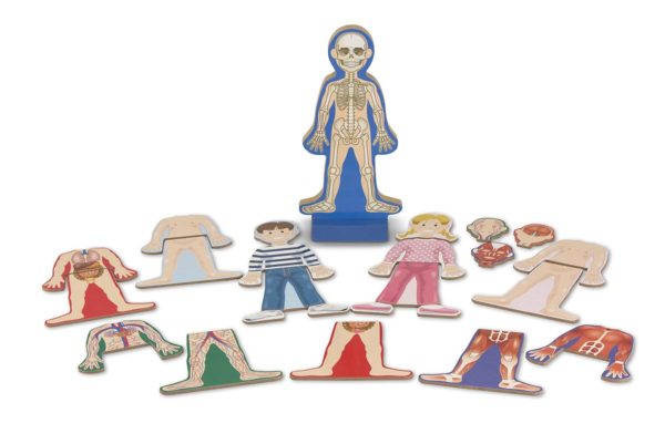 Magnetic Dress Up Human Body Play Set