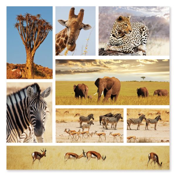 Safari Snapshots 1000 Pc Jigsaw Puzzle